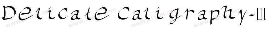 Delicate Caligraphy字体转换